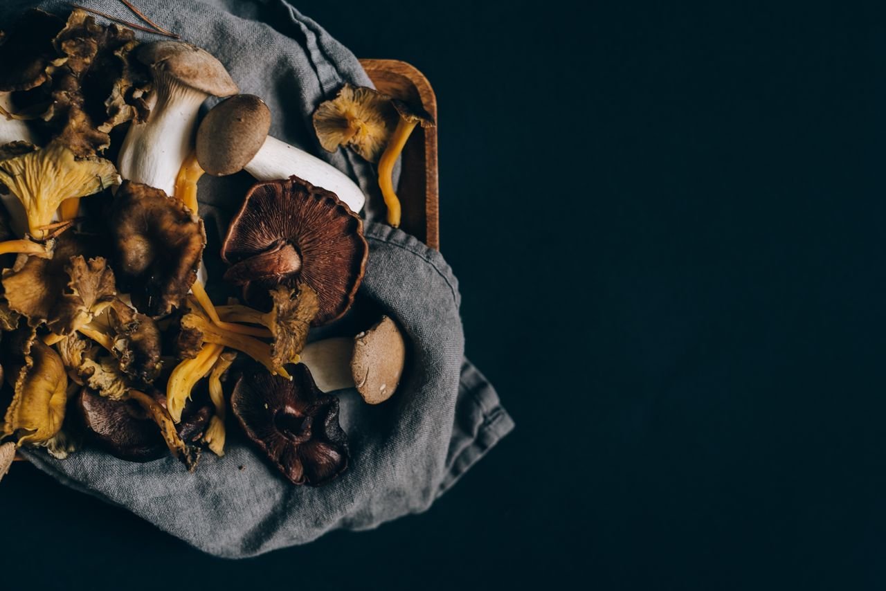 collection-04 A variety of wild mushrooms laid on dark fabric, showcasing earthy tones and textures.